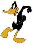 daffy